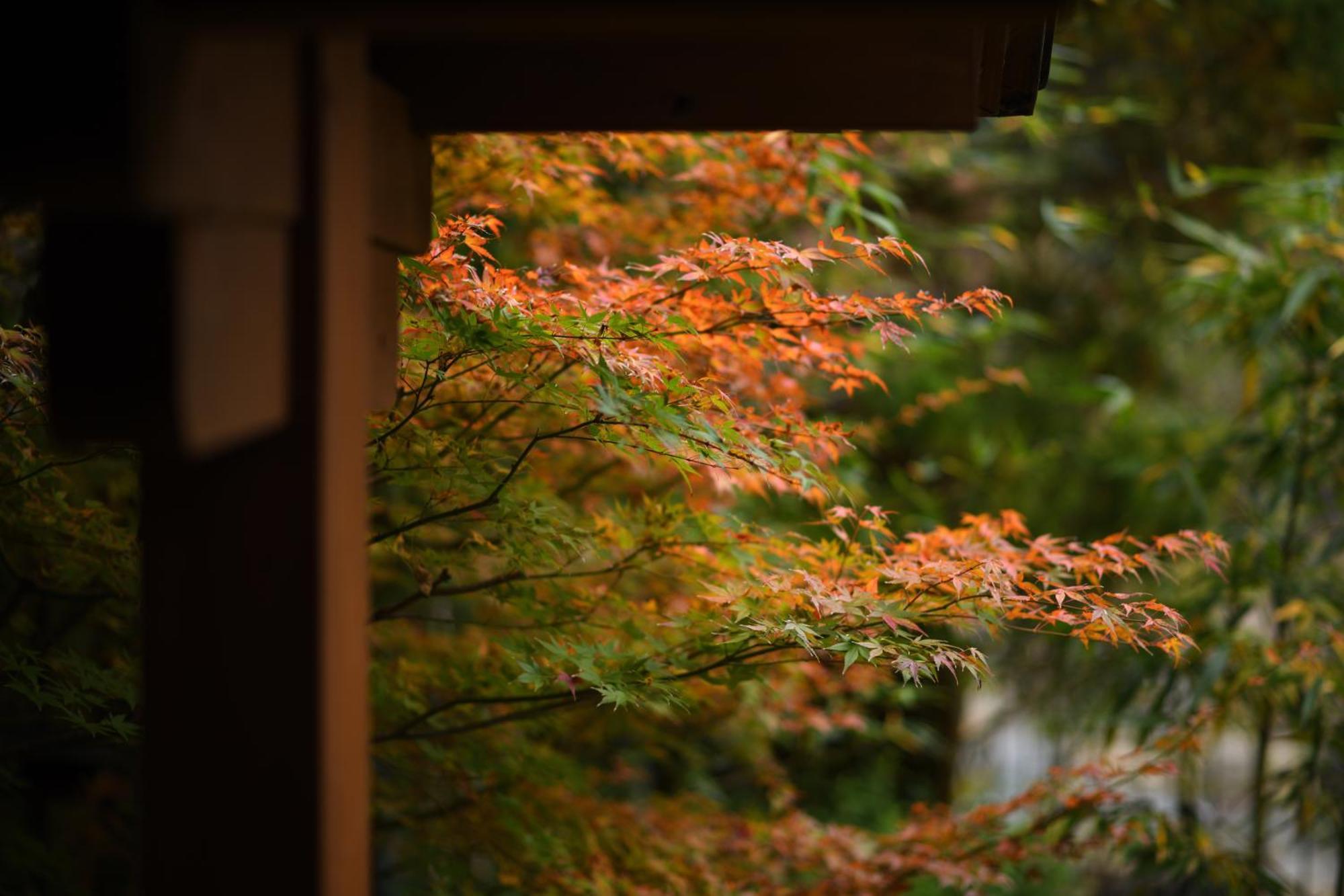 Harumiya Ryokan Fukushima  Exterior foto